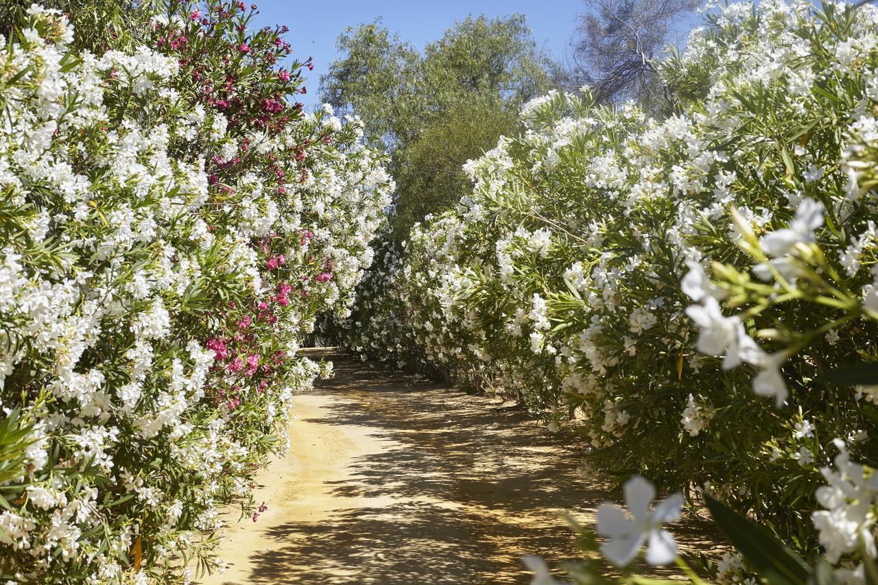 מלון לאס קבסאס דה סן חואן Hacienda De San Rafael מראה חיצוני תמונה