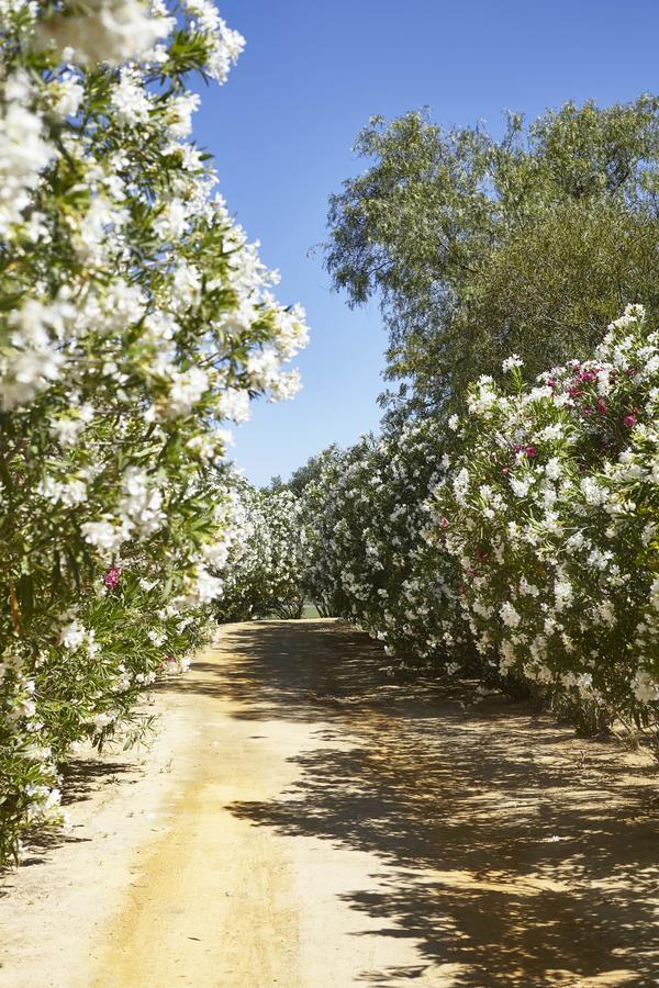 מלון לאס קבסאס דה סן חואן Hacienda De San Rafael מראה חיצוני תמונה